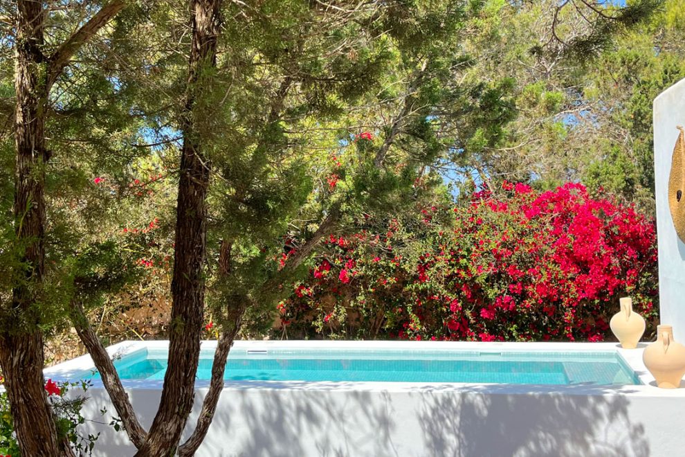 VILLA EN CA MARÍ Pequeña piscina frente al jardín y buganvilla