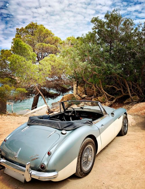 RESTAURANTE SES BOQUES RESTAURANTE SES BOQUES