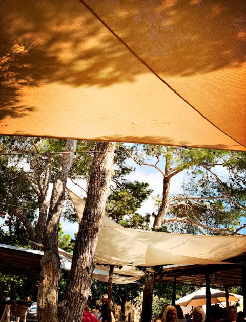 ses-boques-2 ses-boques-2